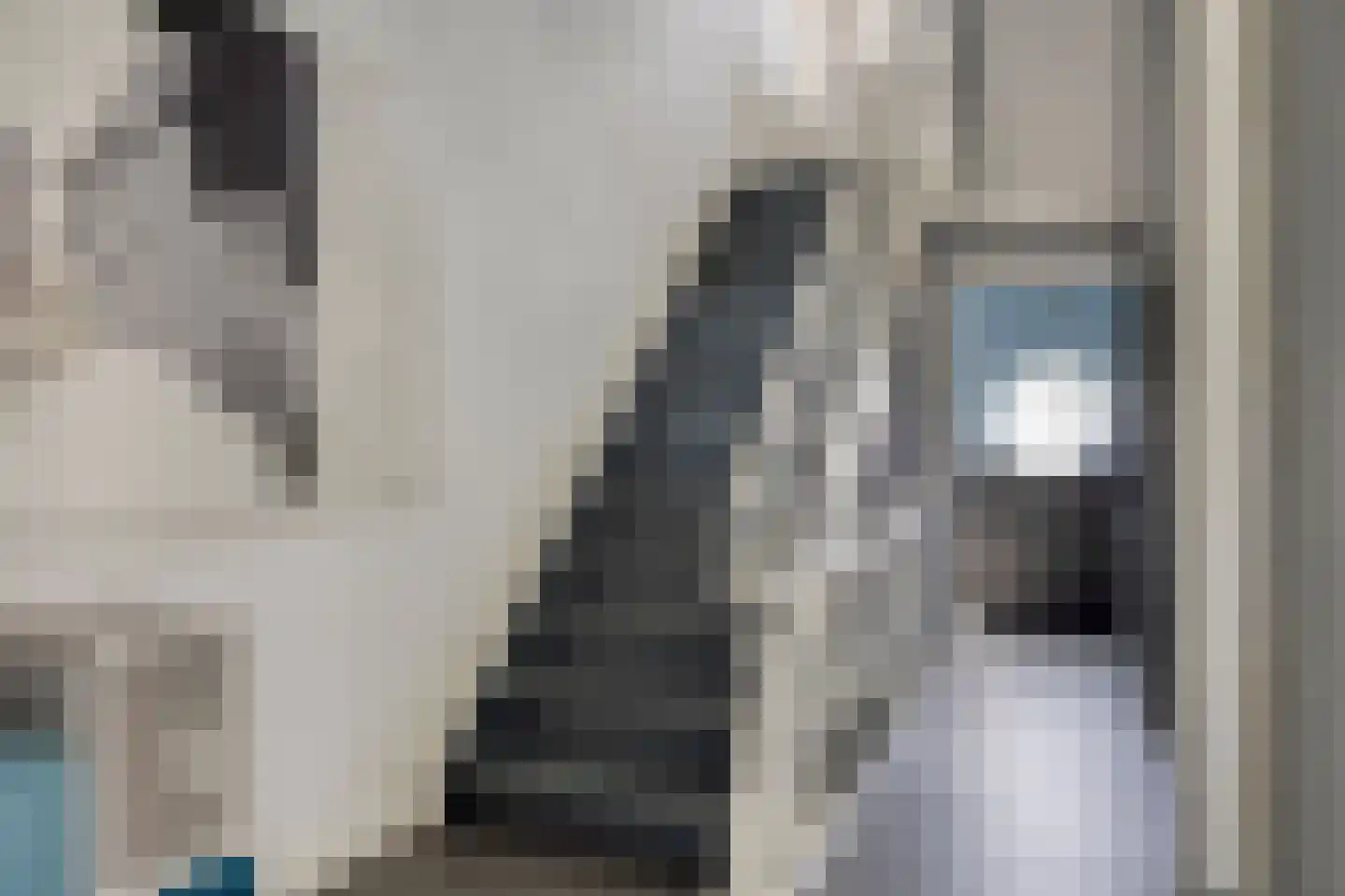 Jan Luijkenlaan 17 Velp thumbnail 14