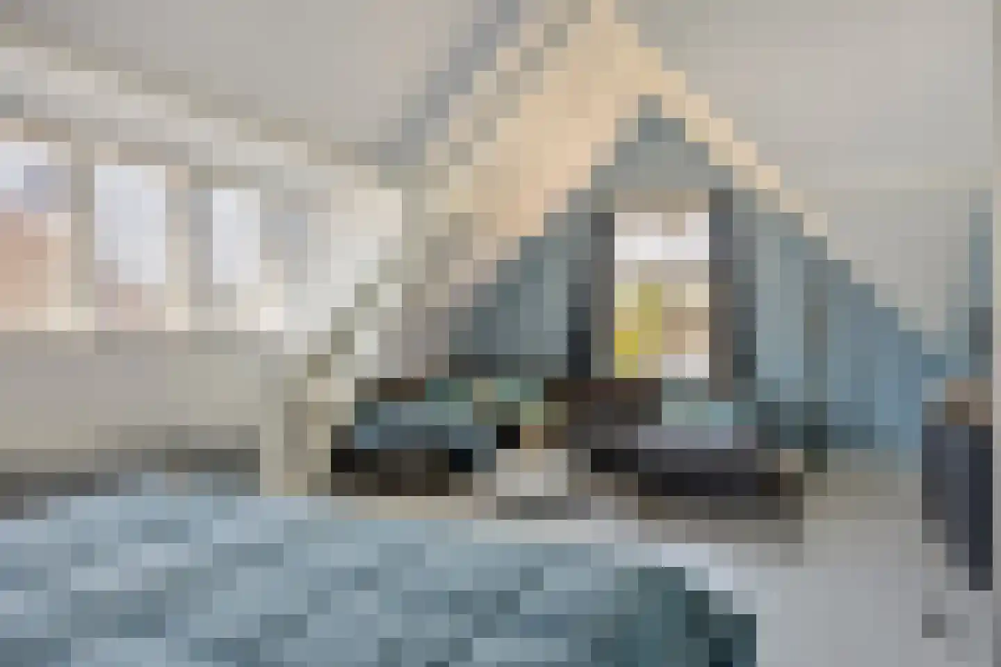 Jan Luijkenlaan 17 Velp thumbnail 23