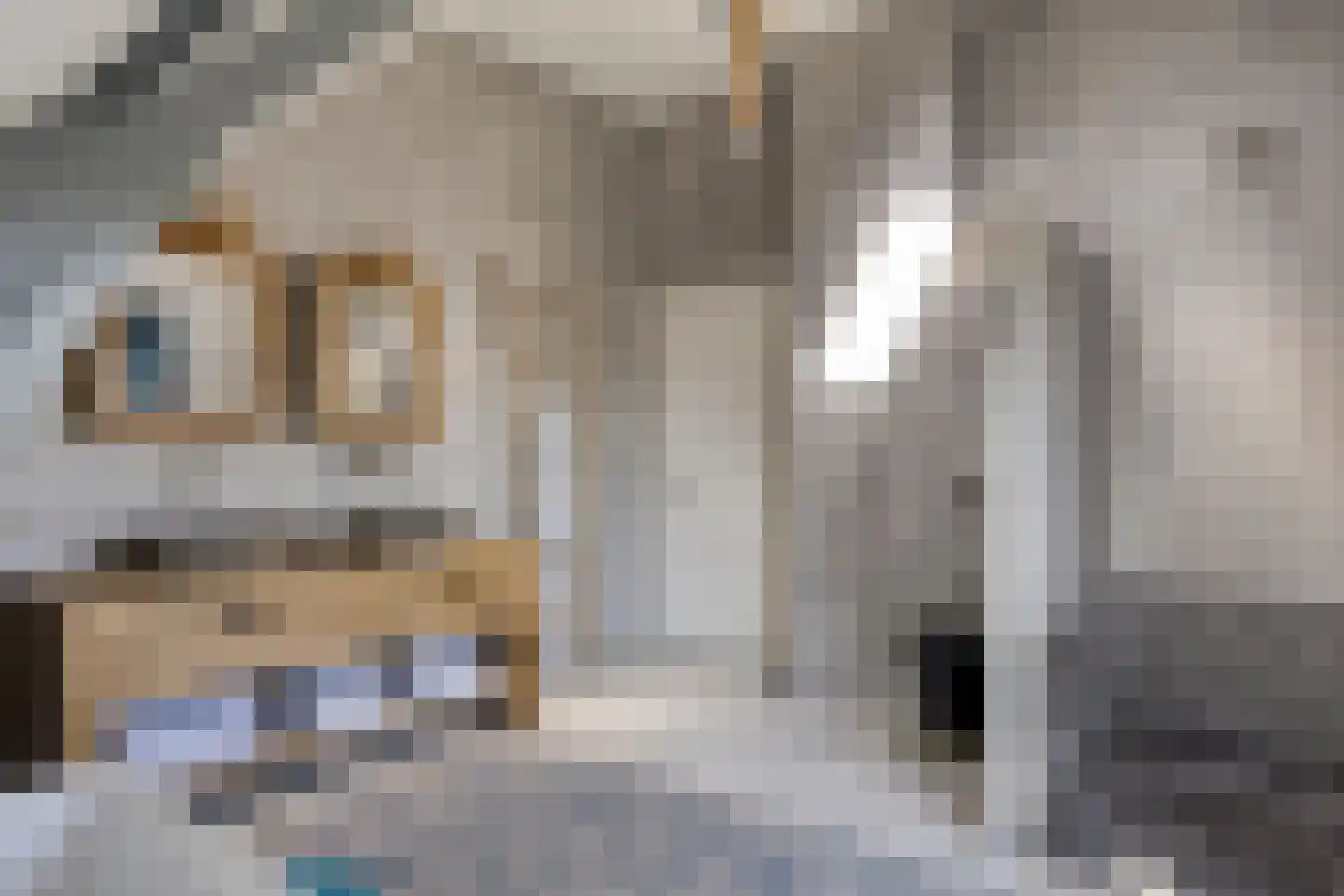 Jan Luijkenlaan 17 Velp thumbnail 24