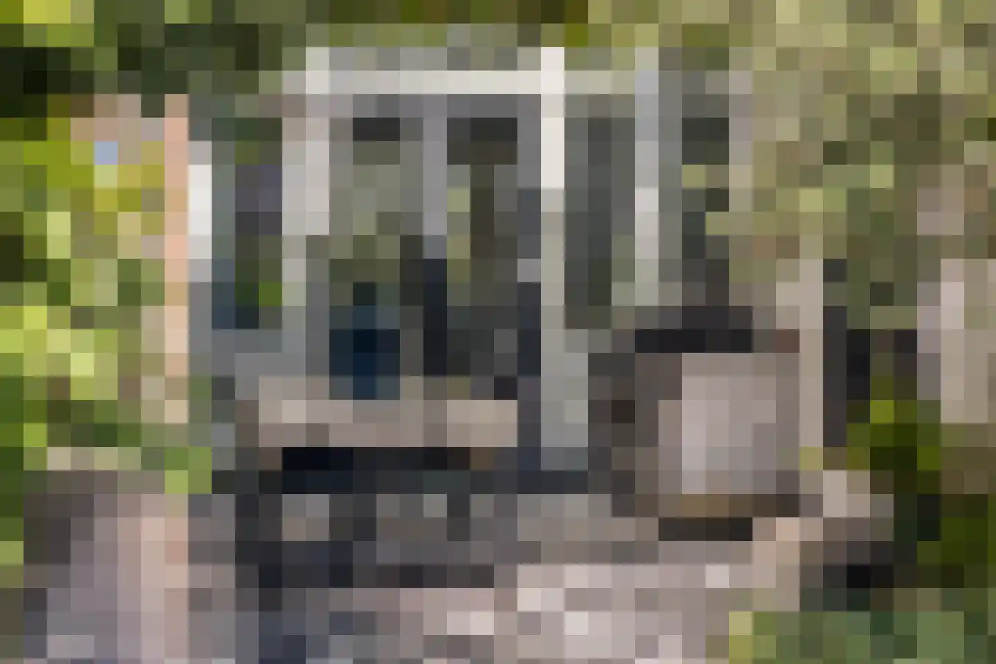 Jan Luijkenlaan 17 Velp thumbnail 28