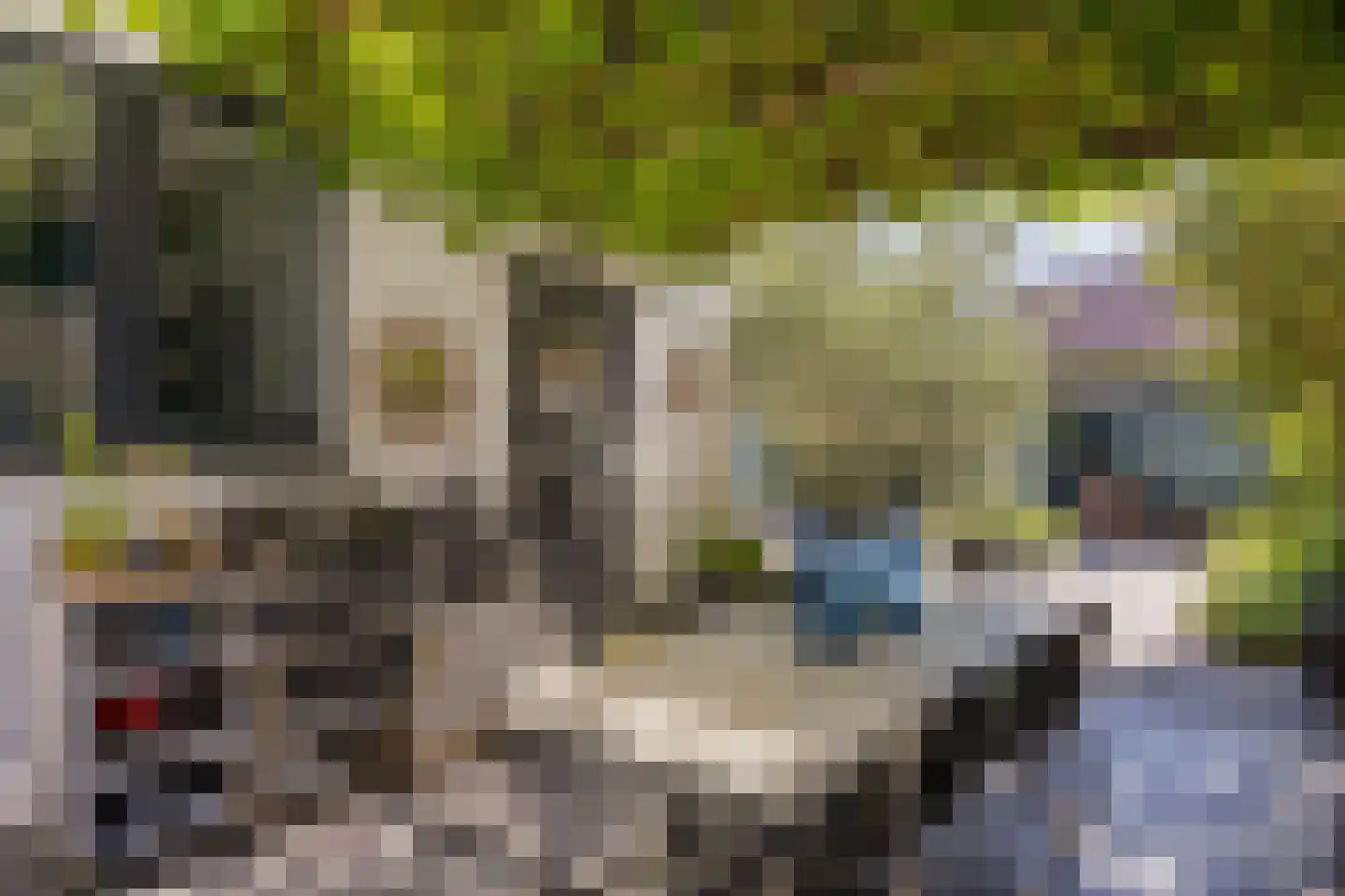 Jan Luijkenlaan 17 Velp thumbnail 29