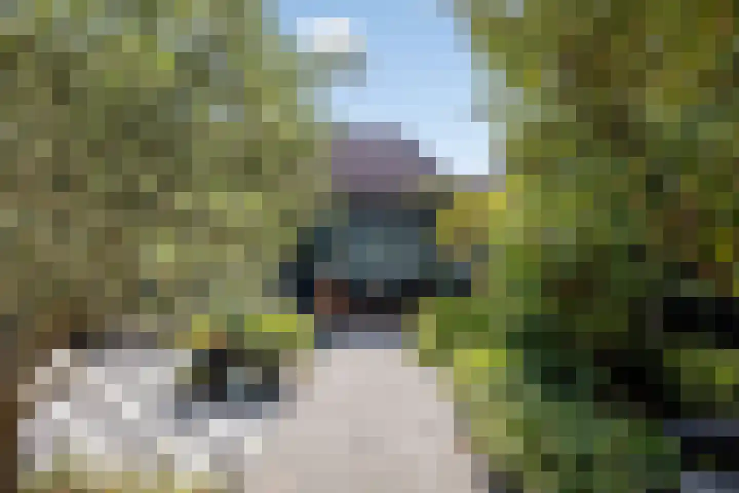 Jan Luijkenlaan 17 Velp thumbnail 33