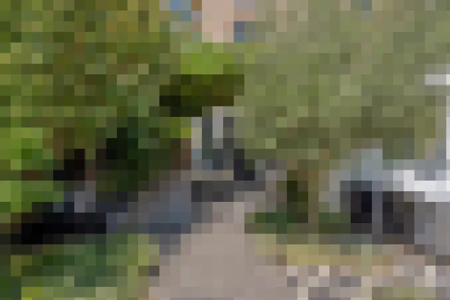 Jan Luijkenlaan 17 Velp thumbnail 34