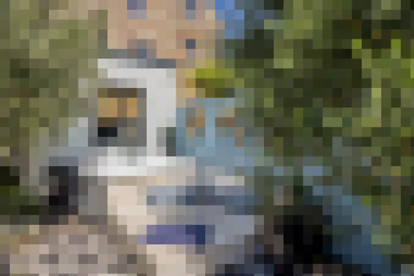 Jan Luijkenlaan 17 Velp thumbnail 37
