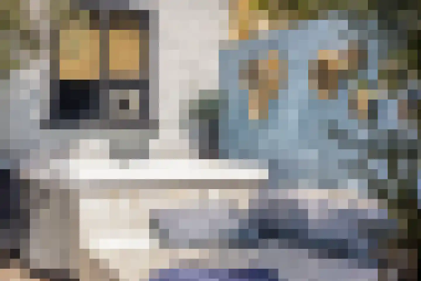 Jan Luijkenlaan 17 Velp thumbnail 38