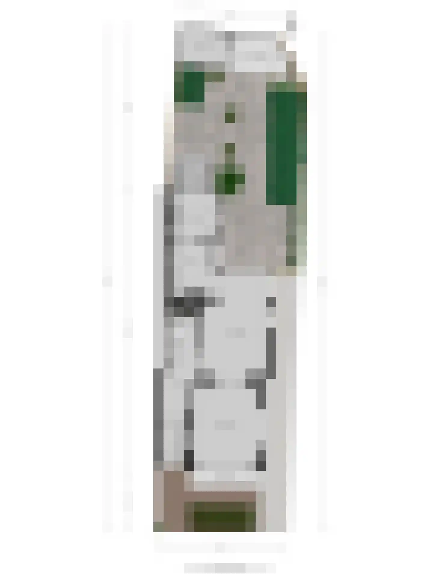 Jan Luijkenlaan 17 Velp thumbnail 46