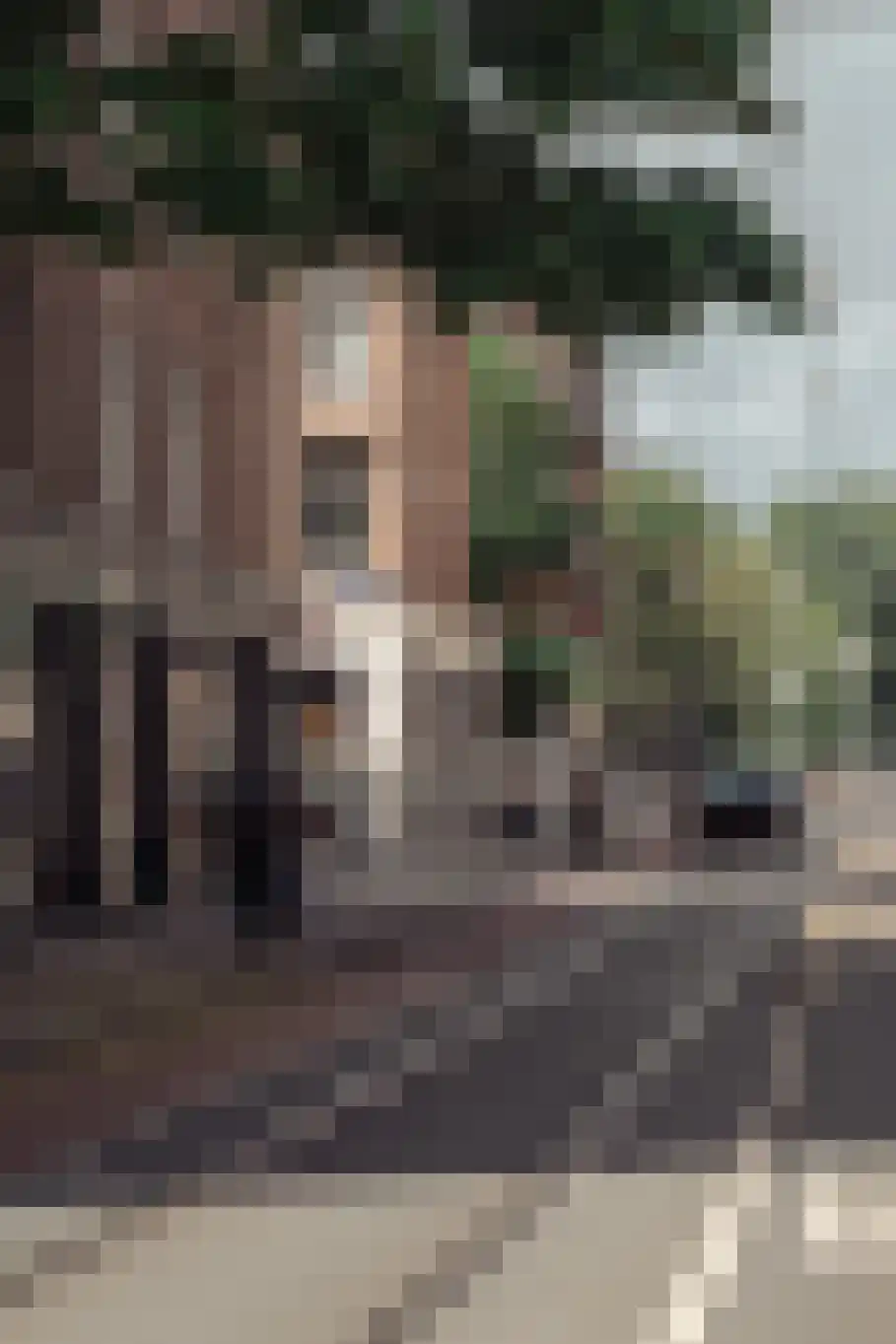 Jan Luijkenstraat 48 B Amsterdam thumbnail 28