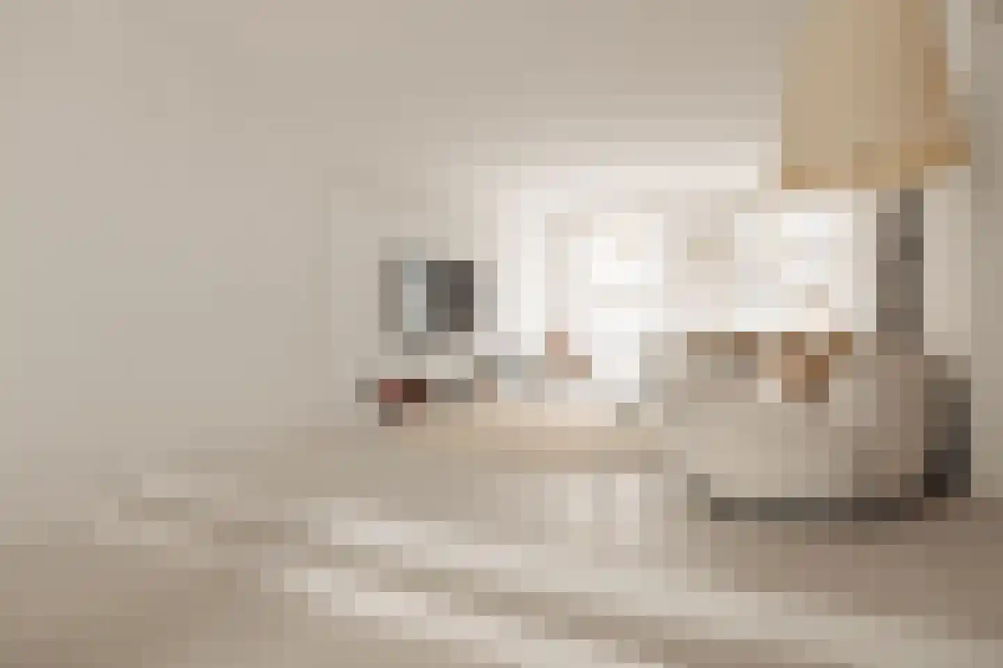 Jan Luijkenstraat 66 H Amsterdam thumbnail 11