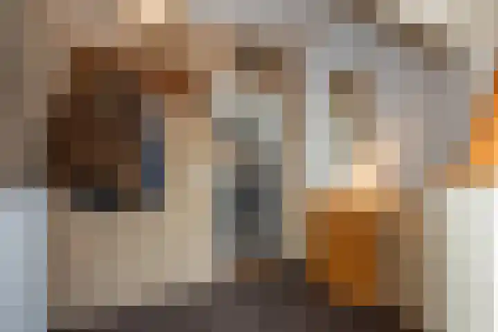 Jan Luikenstraat 13 Rijssen thumbnail 9