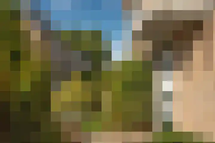 Jan Luikenstraat 14 Hengelo thumbnail 22