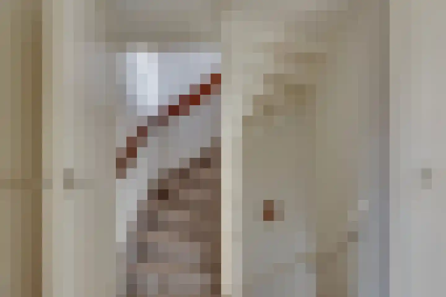 Jan Luikenstraat 20 Rijssen thumbnail 26