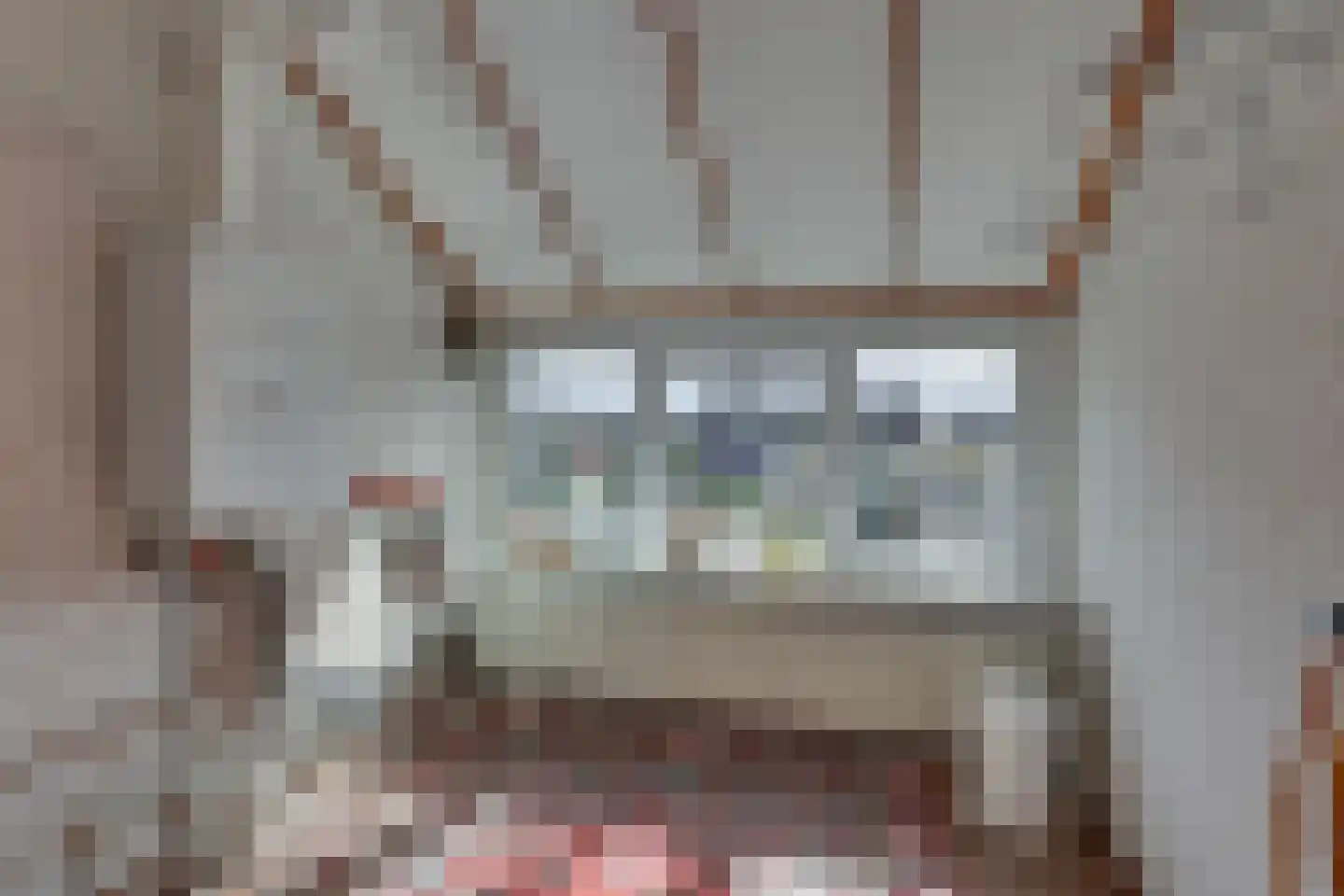 Jan Luikenstraat 20 Rijssen thumbnail 27