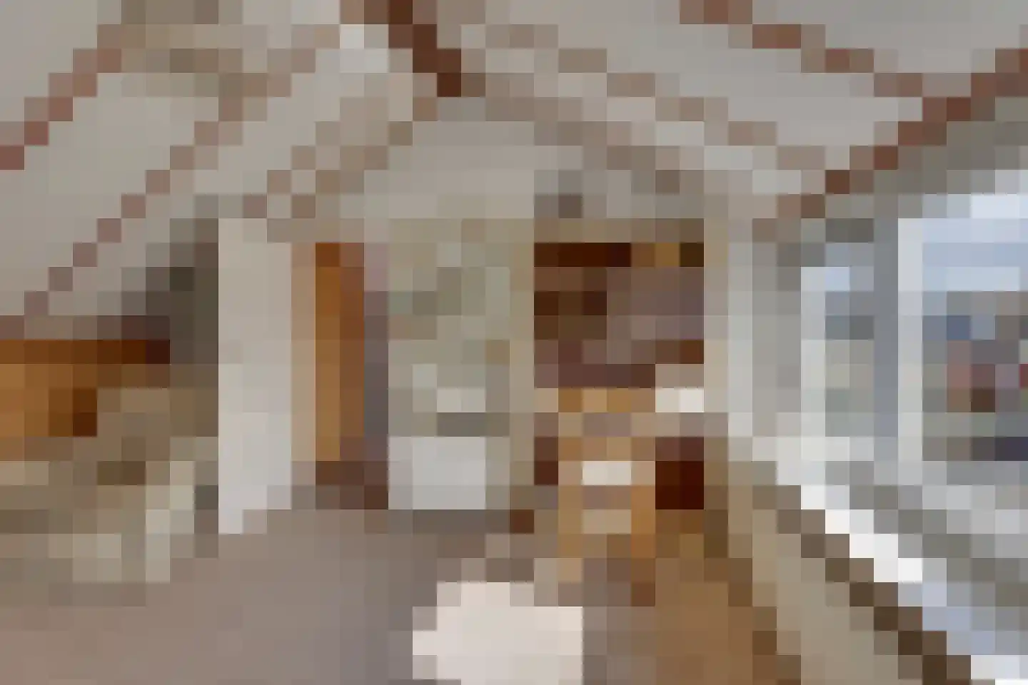 Jan Luikenstraat 20 Rijssen thumbnail 30