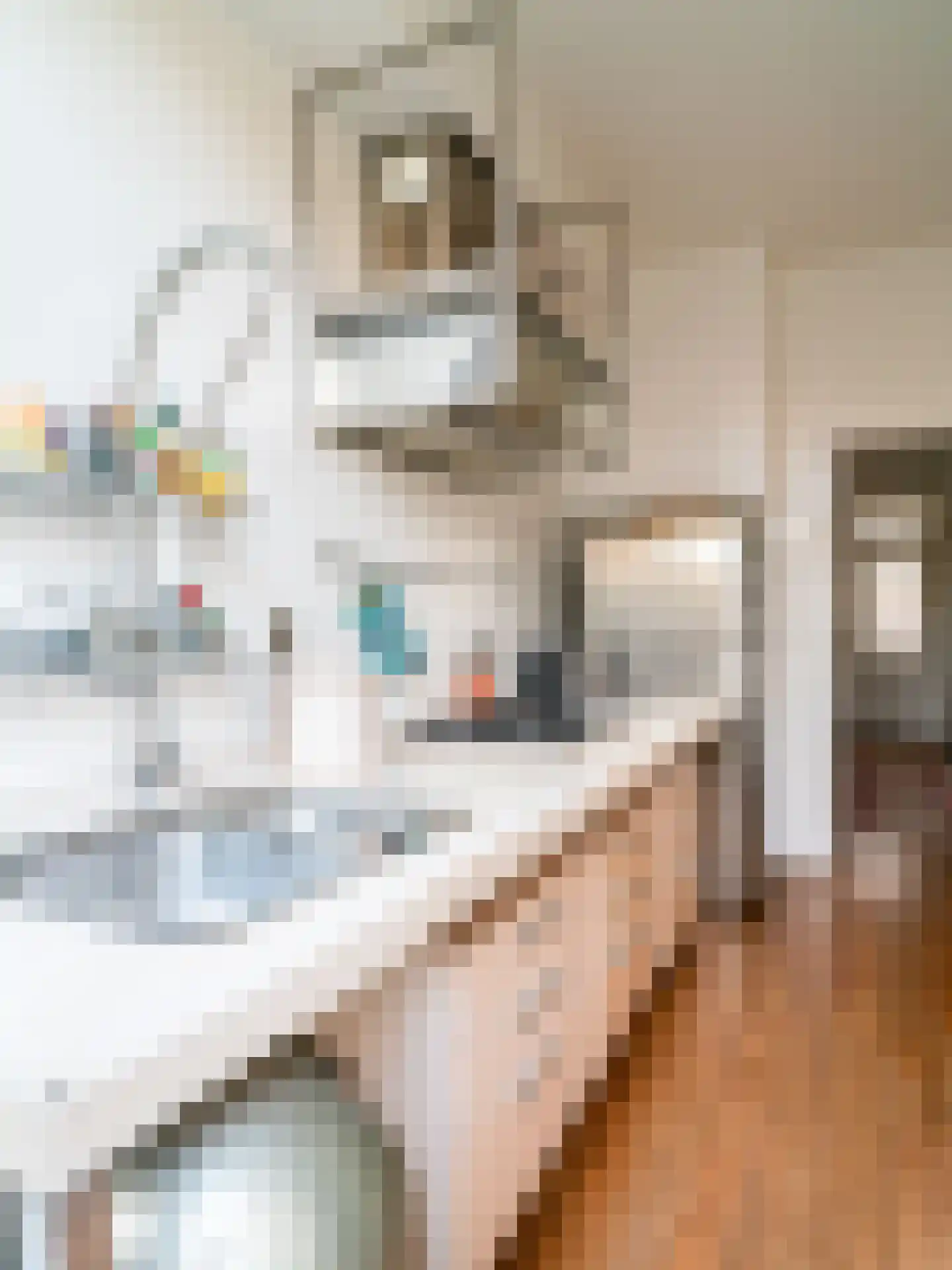 Jan Luikenstraat 23 Eindhoven thumbnail 15