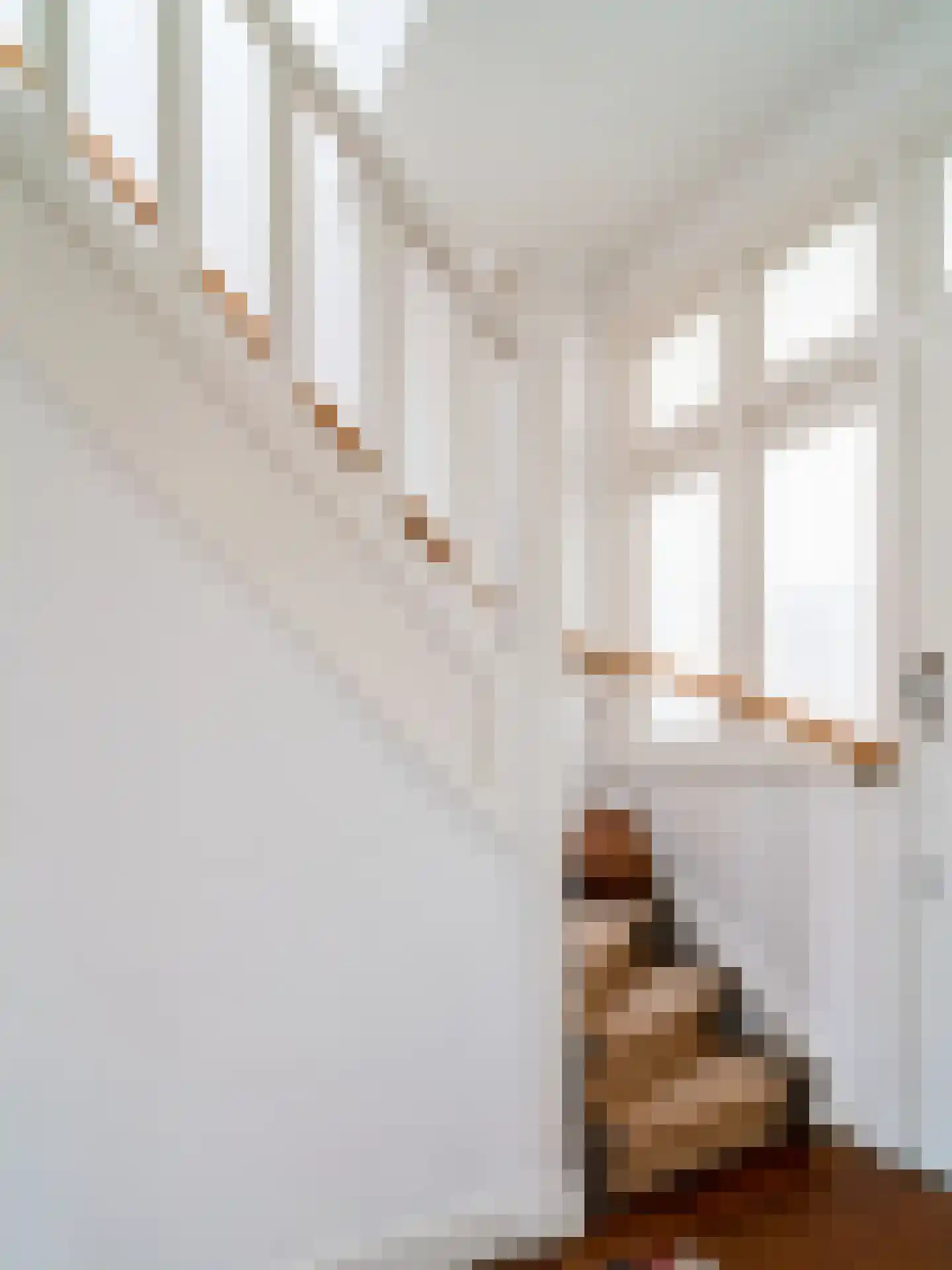Jan Luikenstraat 23 Eindhoven thumbnail 29
