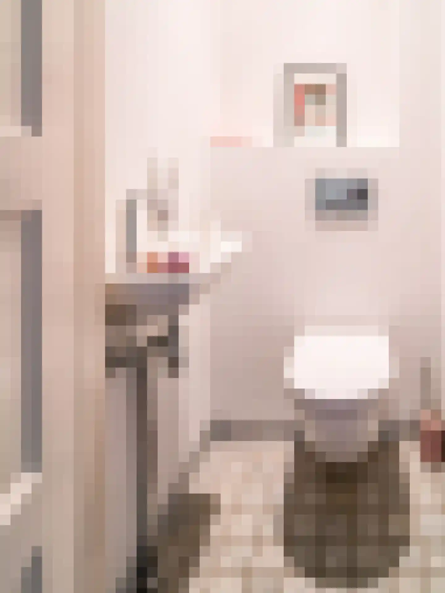Jan Luikenstraat 23 Eindhoven thumbnail 31
