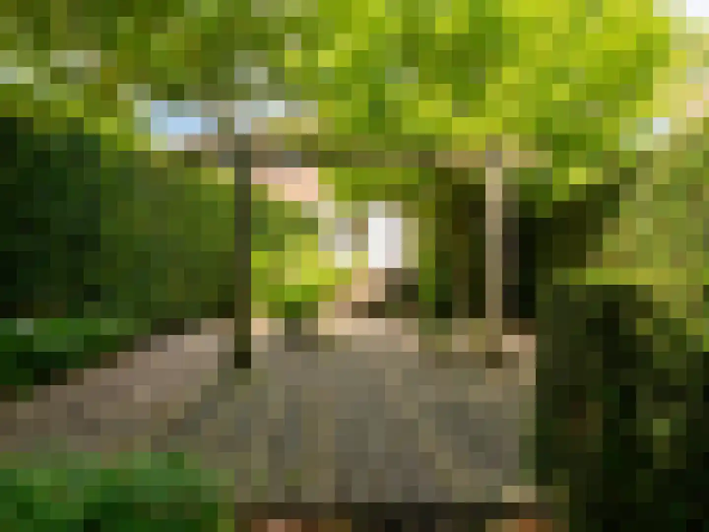 Jan Luikenstraat 23 Eindhoven thumbnail 41