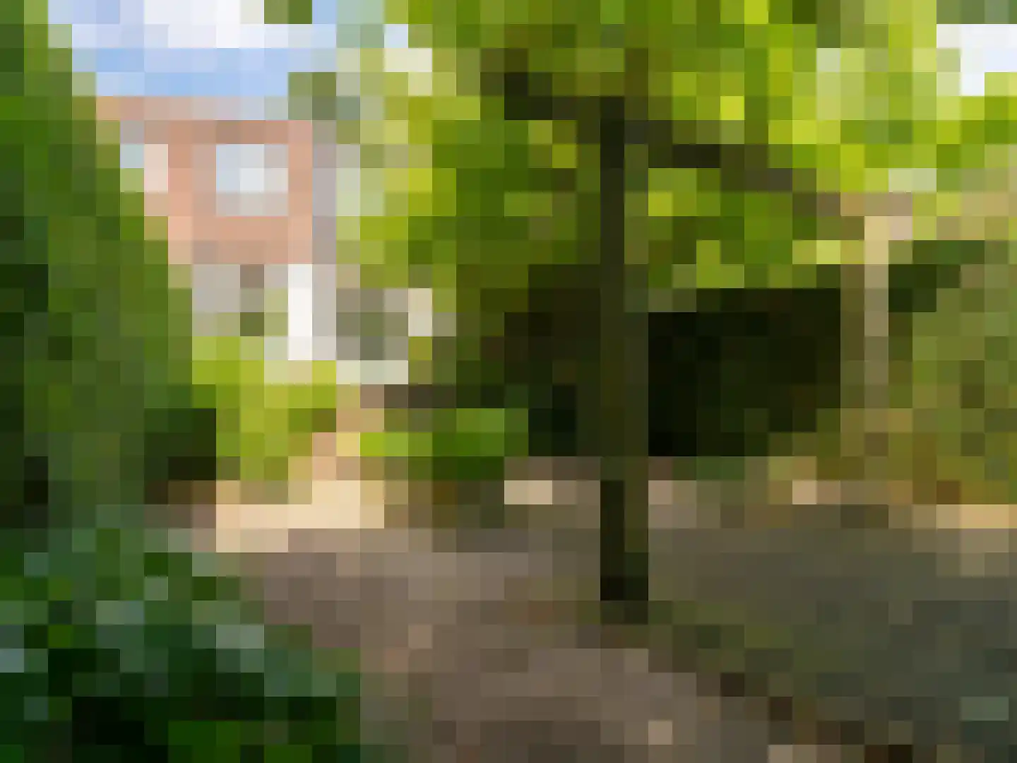 Jan Luikenstraat 23 Eindhoven thumbnail 43