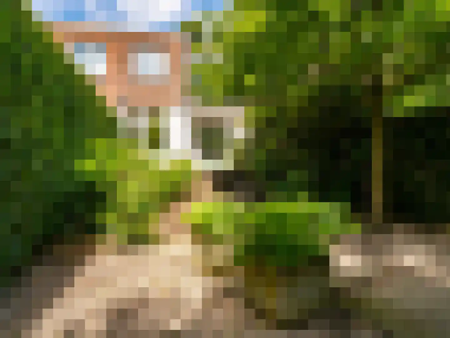 Jan Luikenstraat 23 Eindhoven thumbnail 5