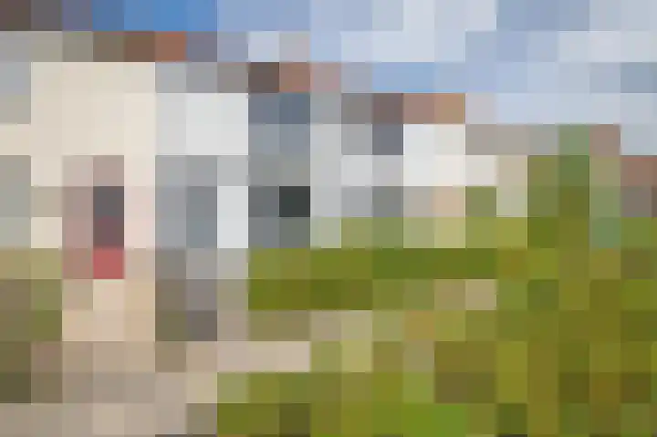 Jan Lutmastraat 13 Schoonhoven thumbnail 27