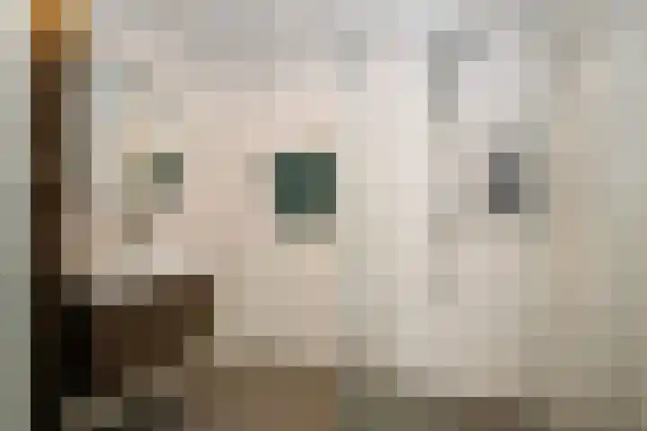 Jan Lutmastraat 13 Schoonhoven thumbnail 4