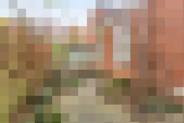 Jan Lutmastraat 19 Groningen thumbnail 26
