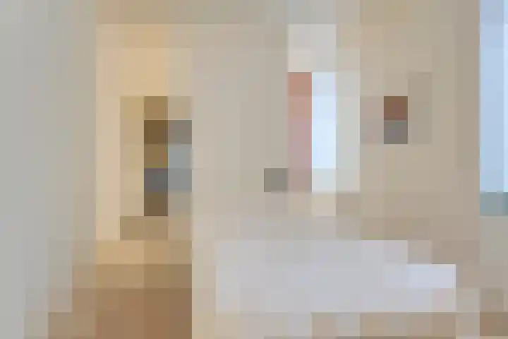 Jan Lutmastraat 19 Groningen thumbnail 4