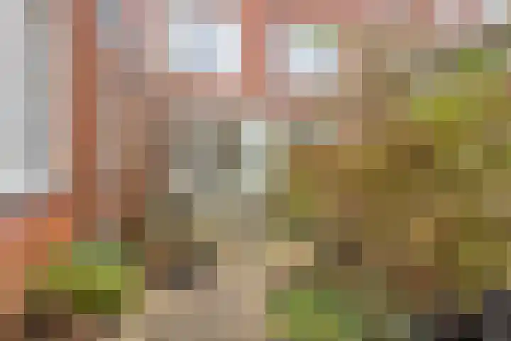 Jan Lutmastraat 19 Groningen thumbnail 5