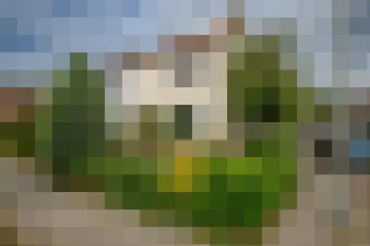Jan Lutmastraat 9 Schoonhoven thumbnail 18