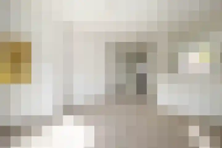 Jan Lutmastraat 9 Schoonhoven thumbnail 4