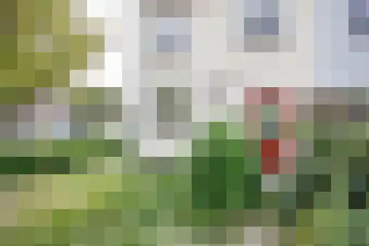 Jan Lutmastraat 9 Schoonhoven thumbnail 5