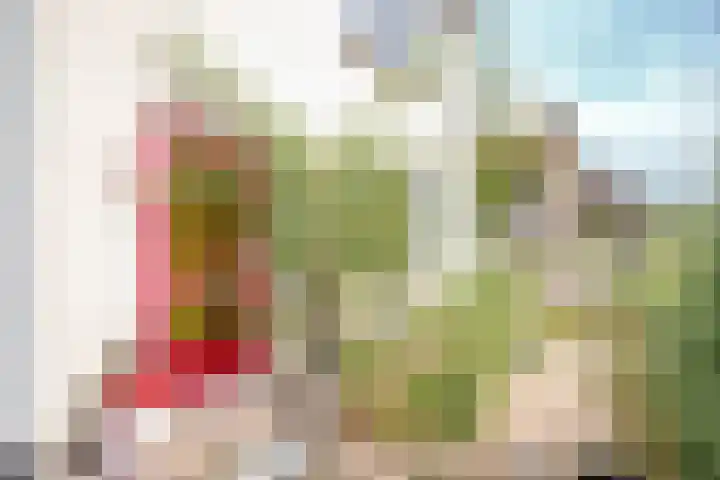 Jan Lutmastraat 9 Schoonhoven thumbnail 6