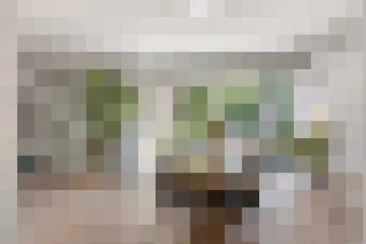 Jan Luykenlaan 11 Deventer thumbnail 11