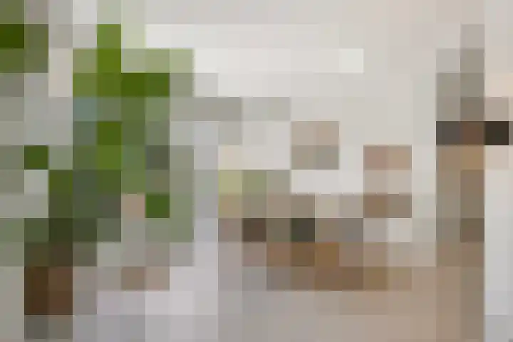 Jan Luykenlaan 11 Deventer thumbnail 12