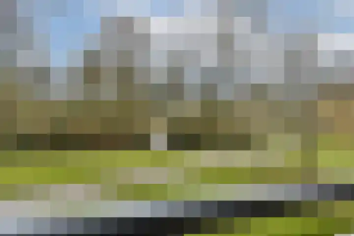 Jan Luykenlaan 11 Leiden thumbnail 20