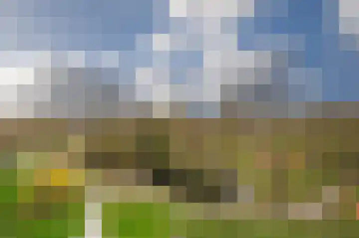 Jan Luykenlaan 117 Leiden thumbnail 8