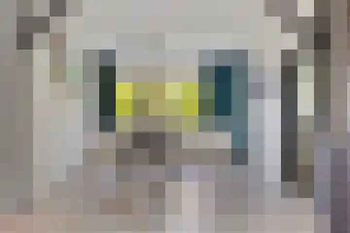 Jan Luykenlaan 12 Deventer thumbnail 12