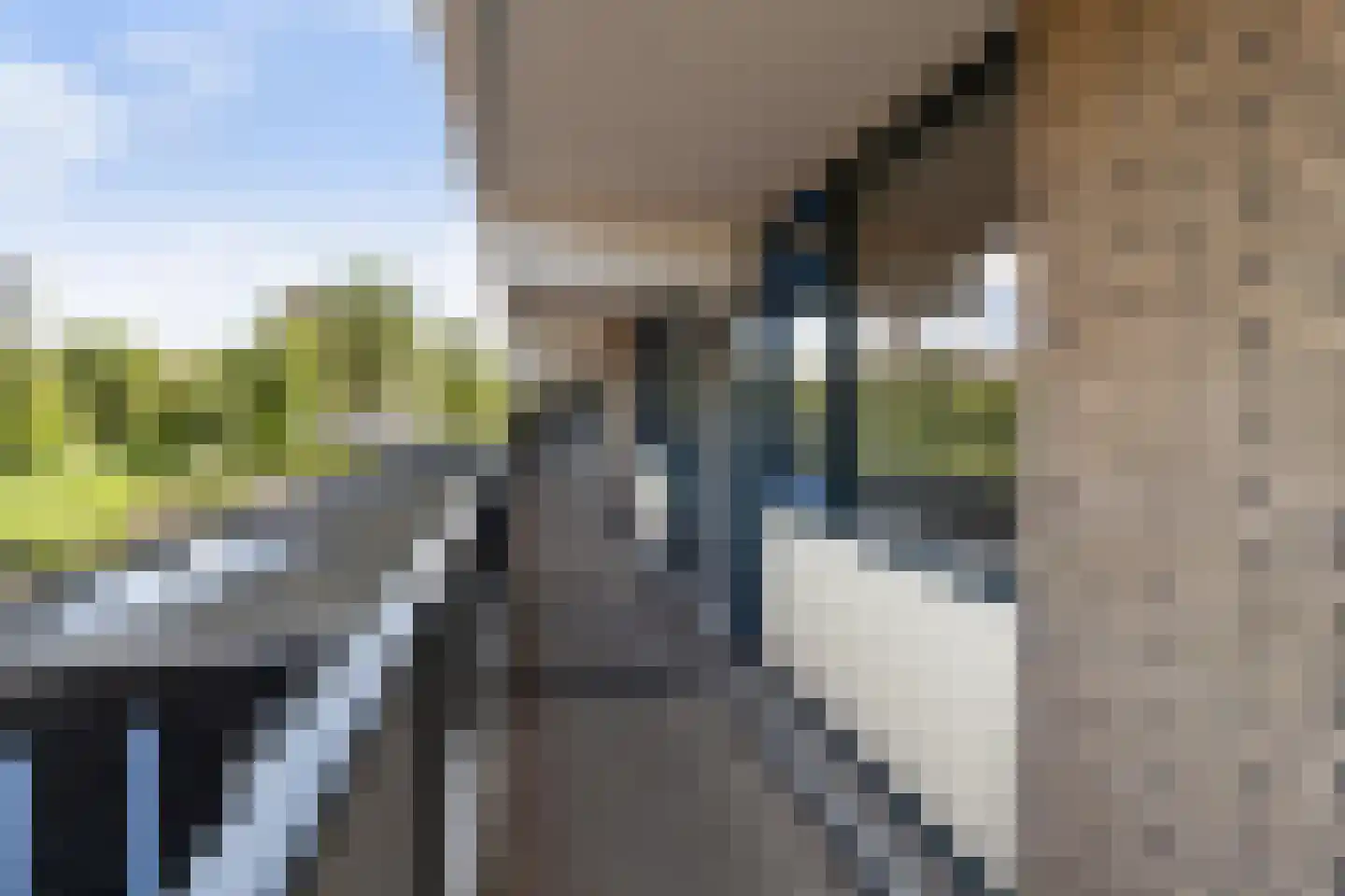 Jan Luykenlaan 18 Leiden thumbnail 32