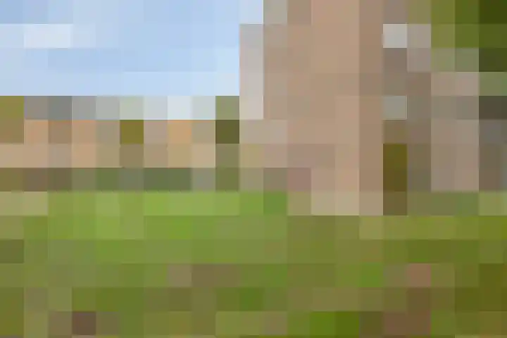 Jan Luykenlaan 34 Deventer thumbnail 19