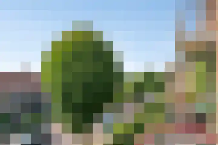 Jan Luykenlaan 86 Deventer thumbnail 12