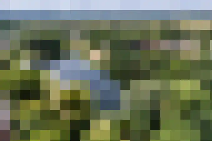 Jan Luykenlaan 86 Deventer thumbnail 32