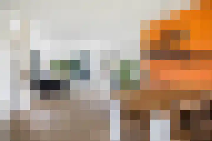 Jan Luykenlaan 94 Deventer thumbnail 10