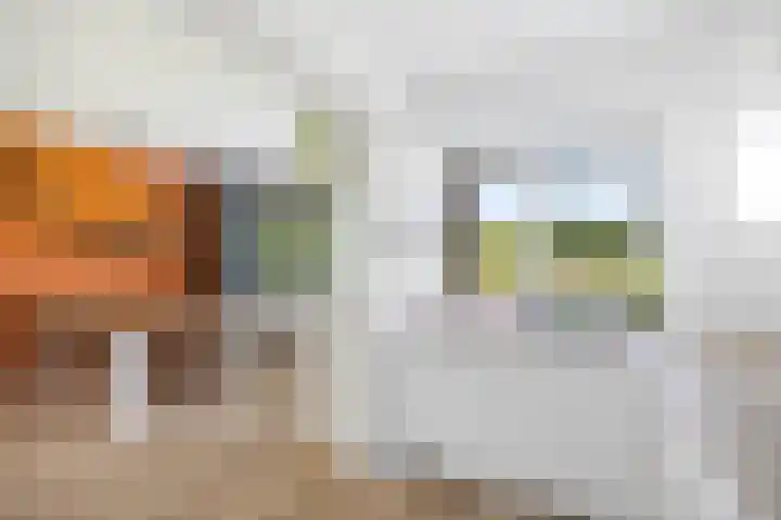 Jan Luykenlaan 94 Deventer thumbnail 8