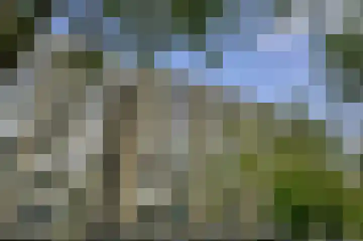 Jan Luykenlaan 94 Leiden thumbnail 5