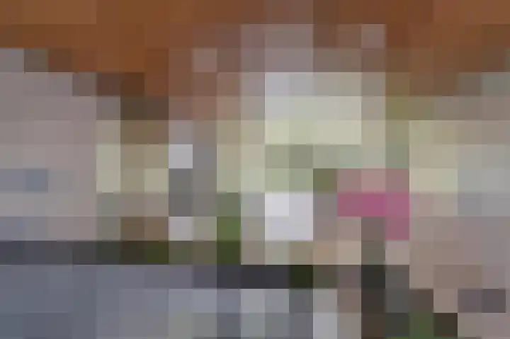 Jan Luykenlaan 94 Leiden thumbnail 9