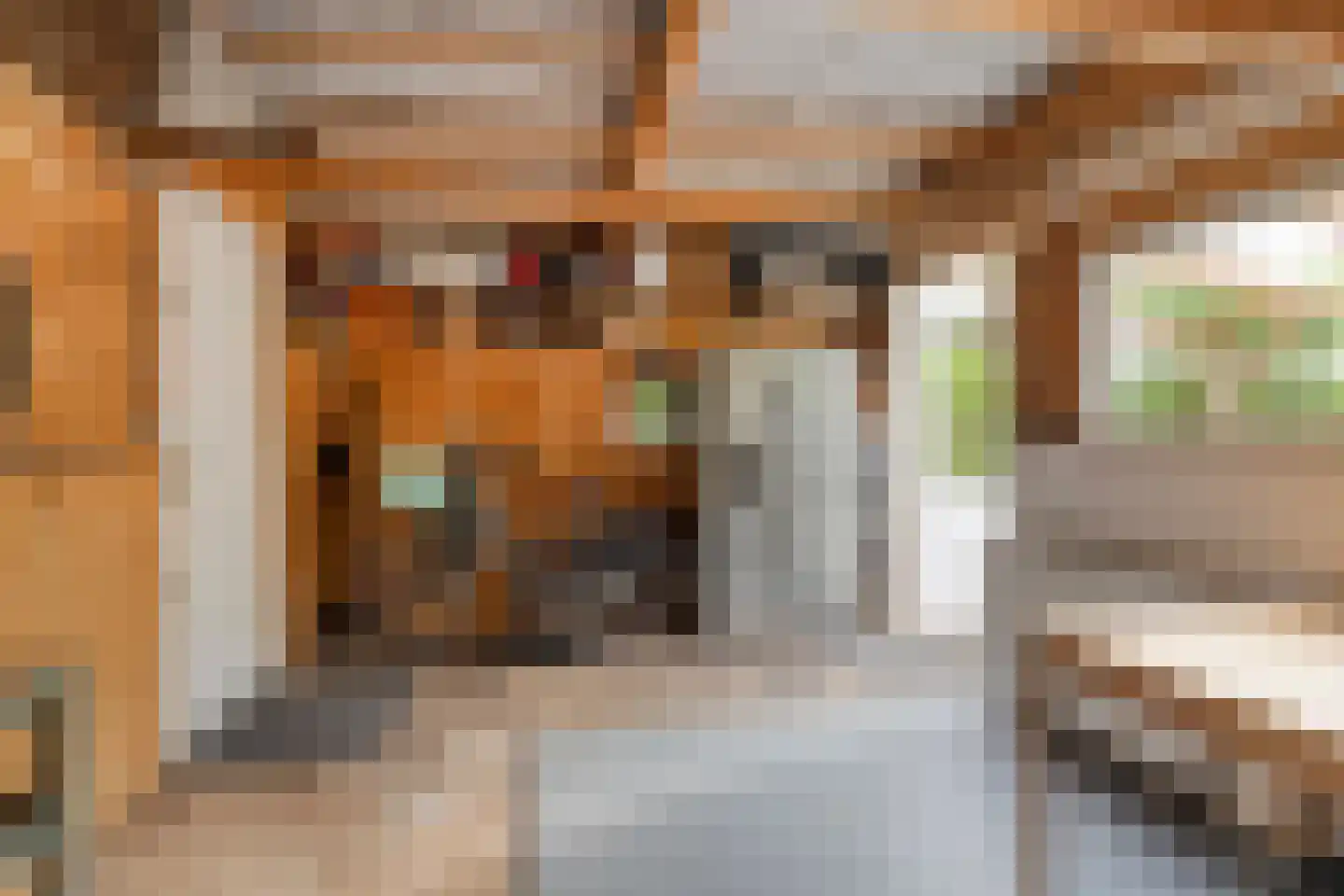 Jan Luykenstraat 20 Gouda thumbnail 19