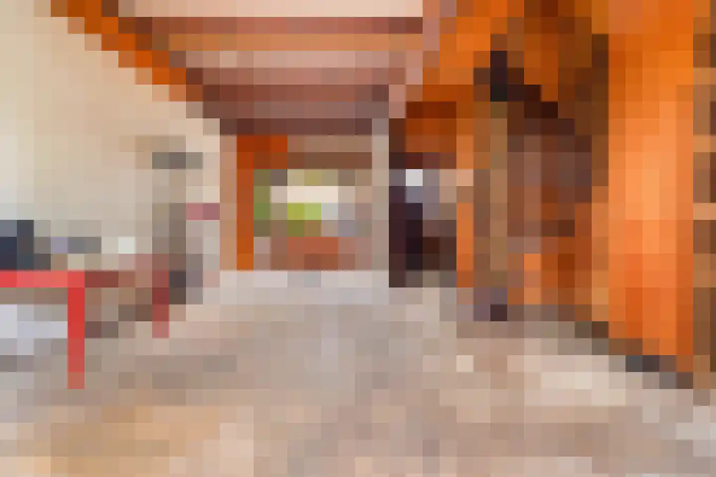 Jan Luykenstraat 4 Utrecht thumbnail 13