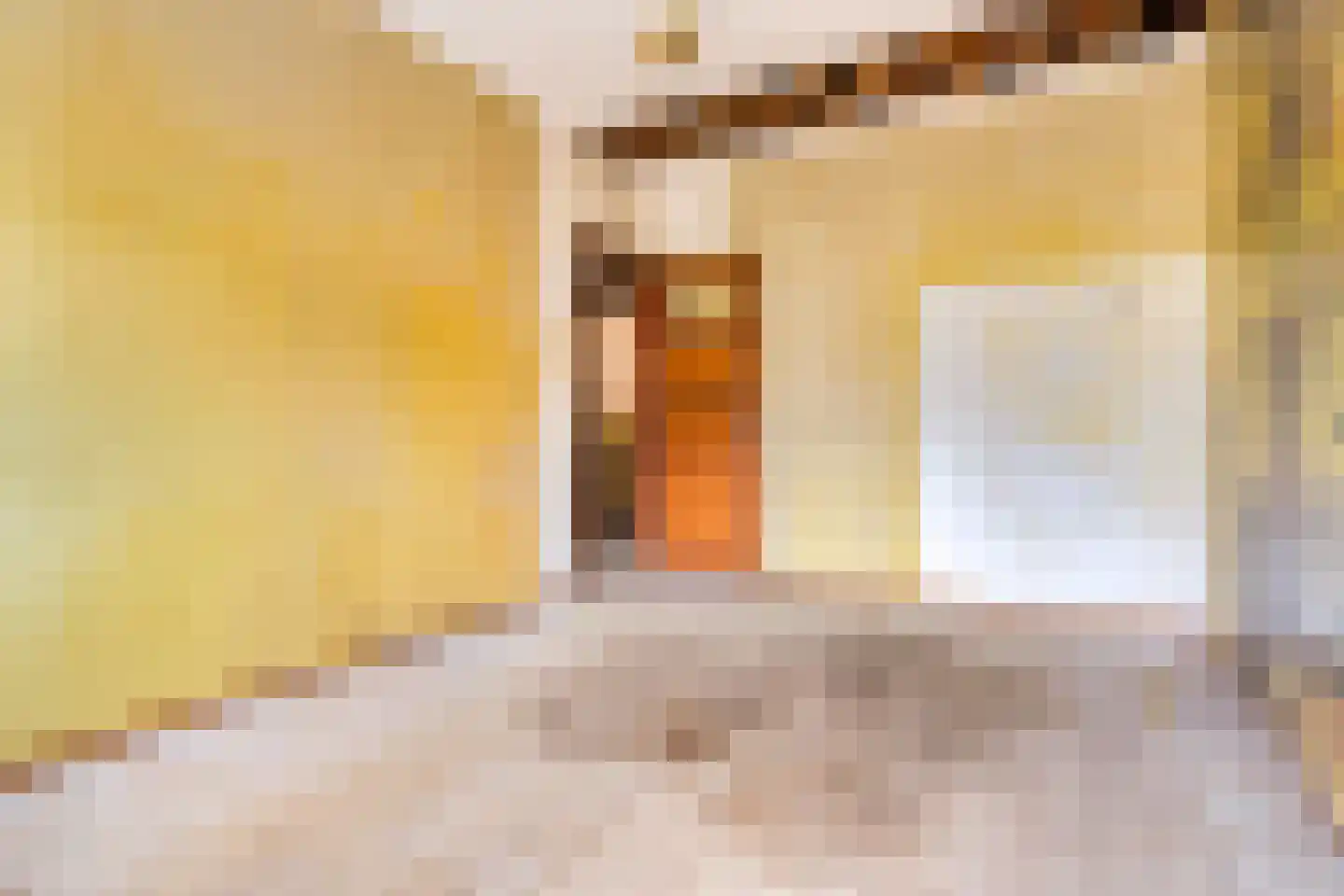 Jan Luykenstraat 4 Utrecht thumbnail 19
