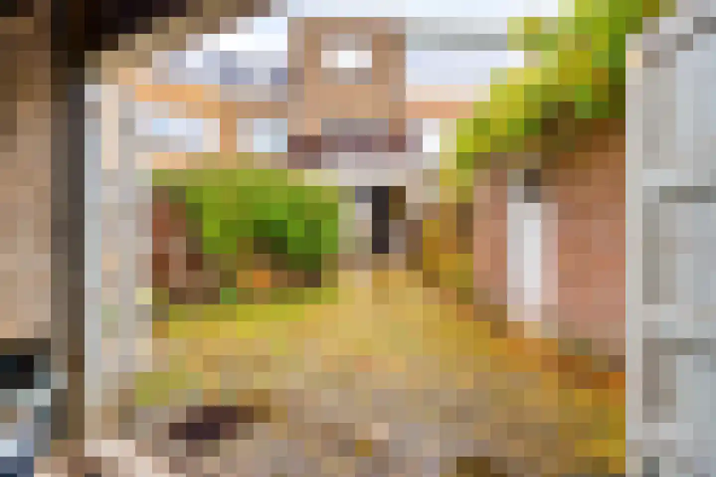 Jan Luykenstraat 4 Utrecht thumbnail 37