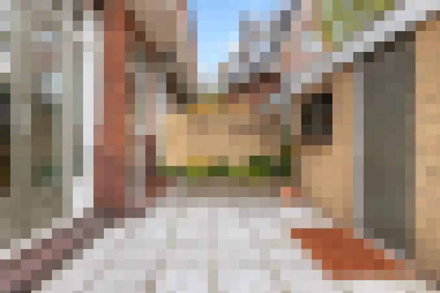 Jan Luykenstraat 62 Gouda thumbnail 49